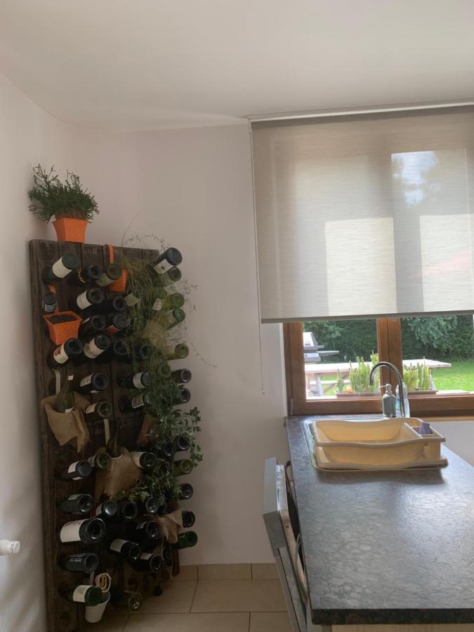 Les Hirondelles Lägenhet Wintzenheim Exteriör bild